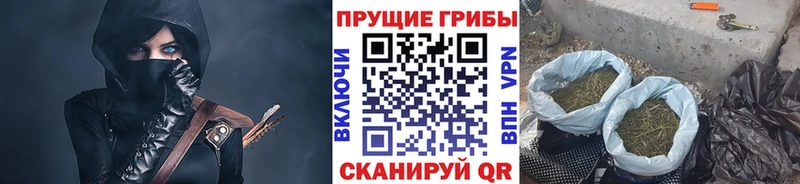 Псилоцибиновые грибы ЛСД  Торжок 