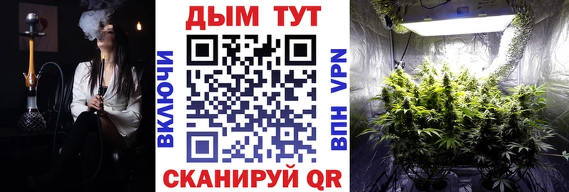 купить закладку Торжок Конопля MAZAR